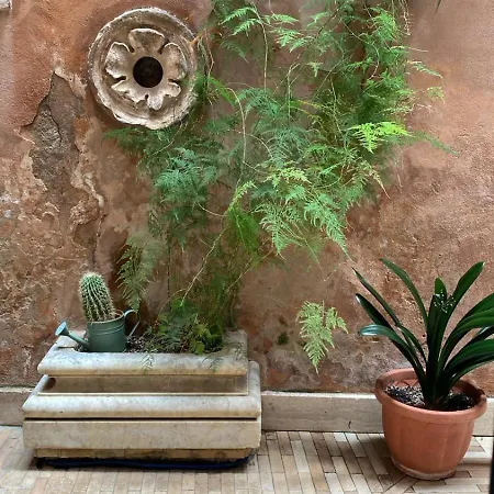 Apartament Trastevere Piazza Trilussa Royal Orchid