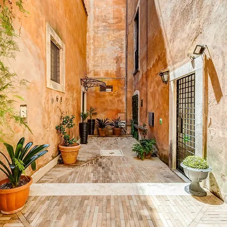 Trastevere Piazza Trilussa Royal Orchid Rzym